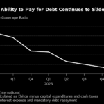 borrowers and debt
